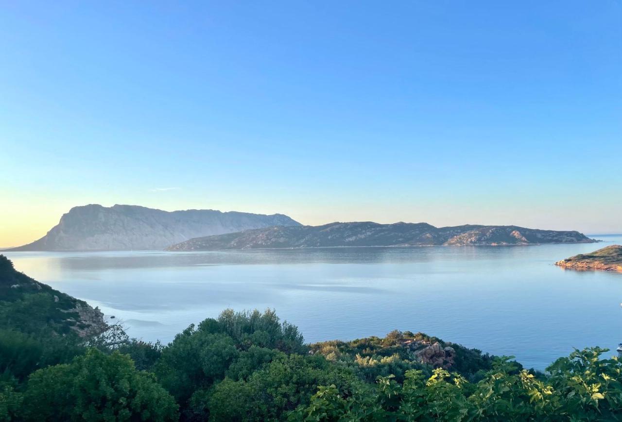 San Teodoro Punta Est Delizioso Monolocale Vista Mare Appartement Buitenkant foto