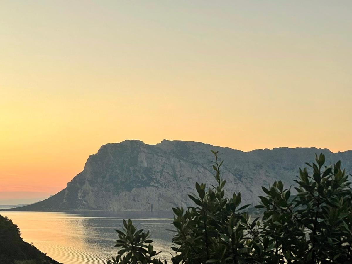 San Teodoro Punta Est Delizioso Monolocale Vista Mare Appartement Buitenkant foto