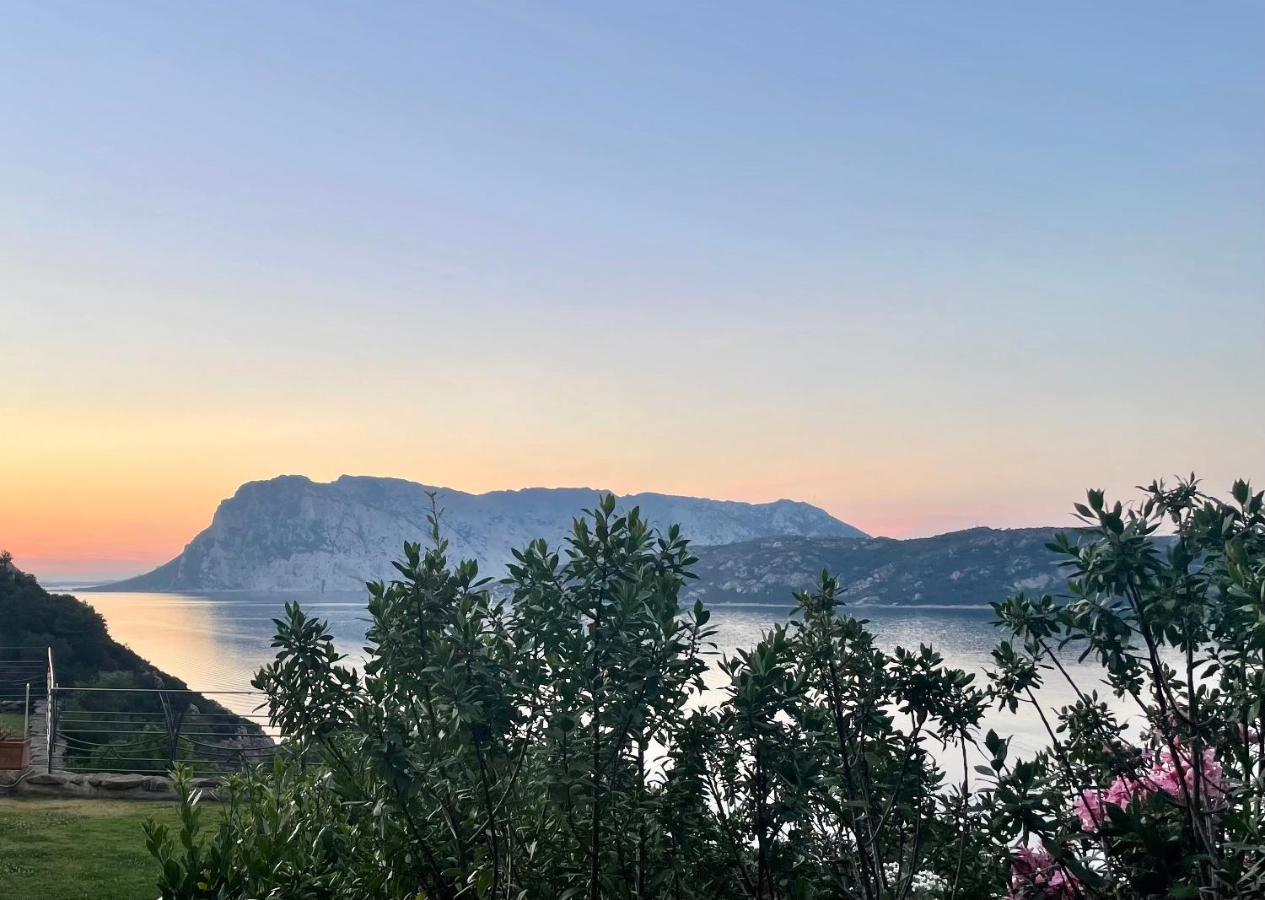 San Teodoro Punta Est Delizioso Monolocale Vista Mare Appartement Buitenkant foto