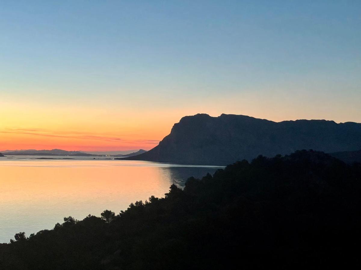 San Teodoro Punta Est Delizioso Monolocale Vista Mare Appartement Buitenkant foto