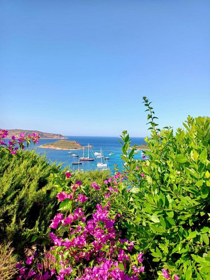 San Teodoro Punta Est Delizioso Monolocale Vista Mare Appartement Buitenkant foto